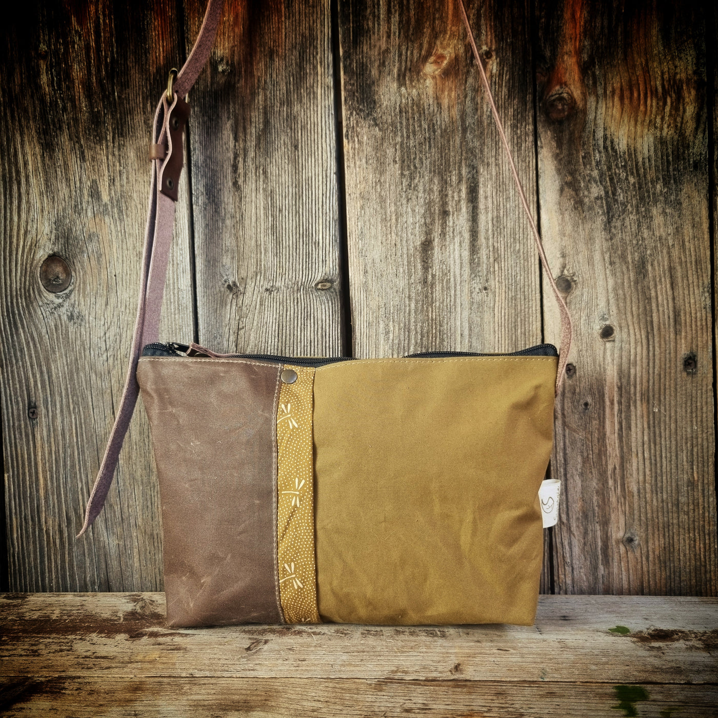 Ribes tracollina cerata oliva