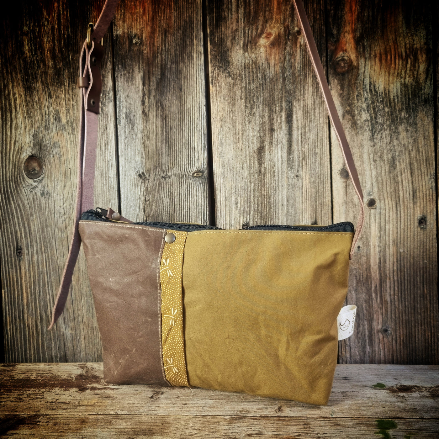 Ribes tracollina cerata oliva